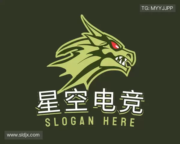 知道星空电竞